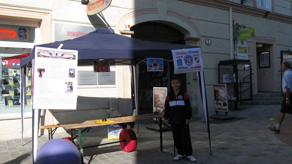 07.09.2013: Tag des Sports